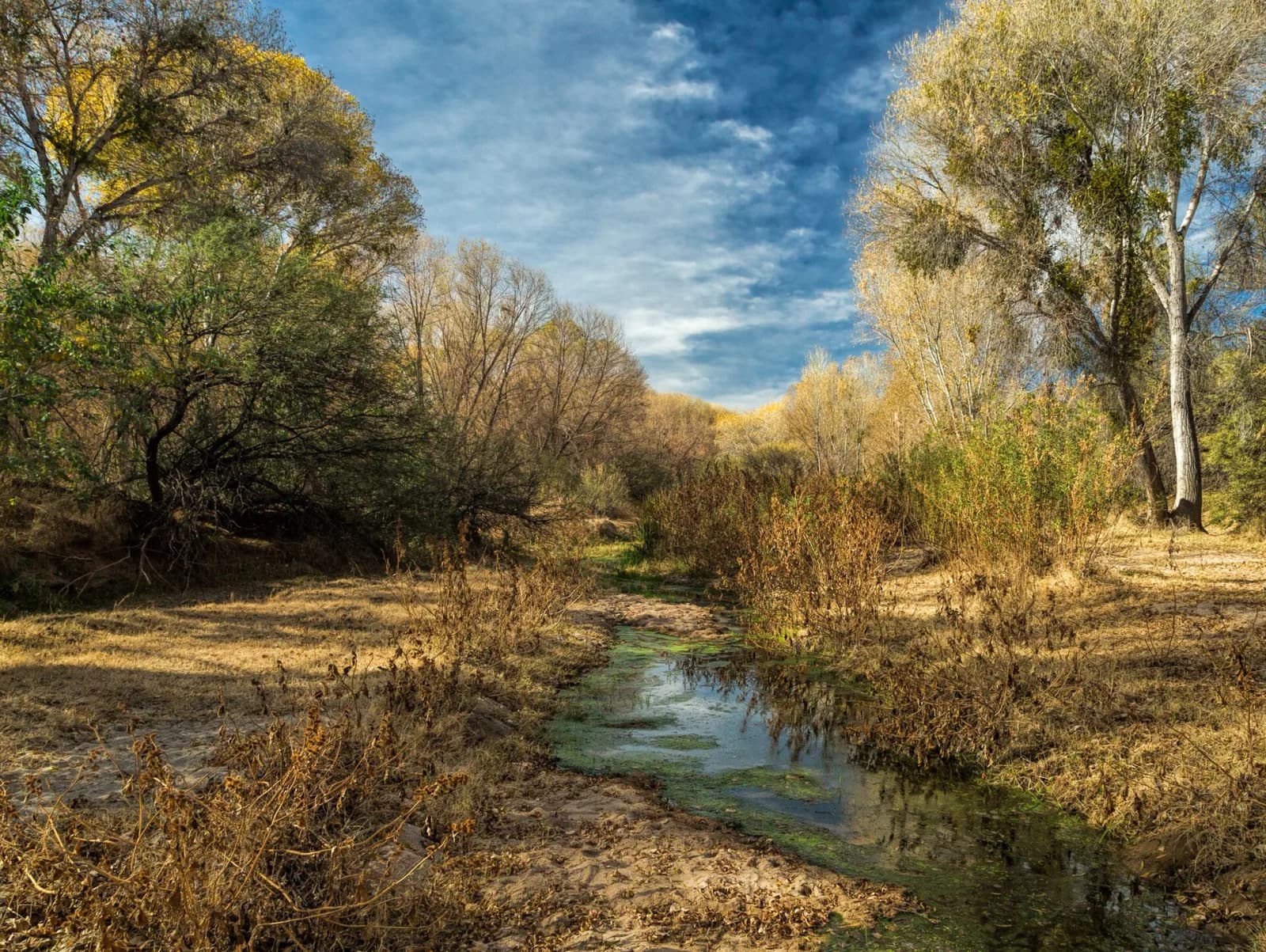 Rocky banks and desert trees along the Hassayampa River near Wickenburg, Arizona